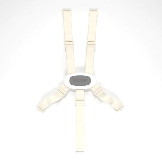 harnais de sécurité fresque