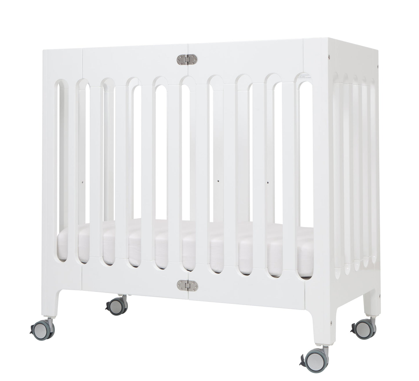 coconut white organic