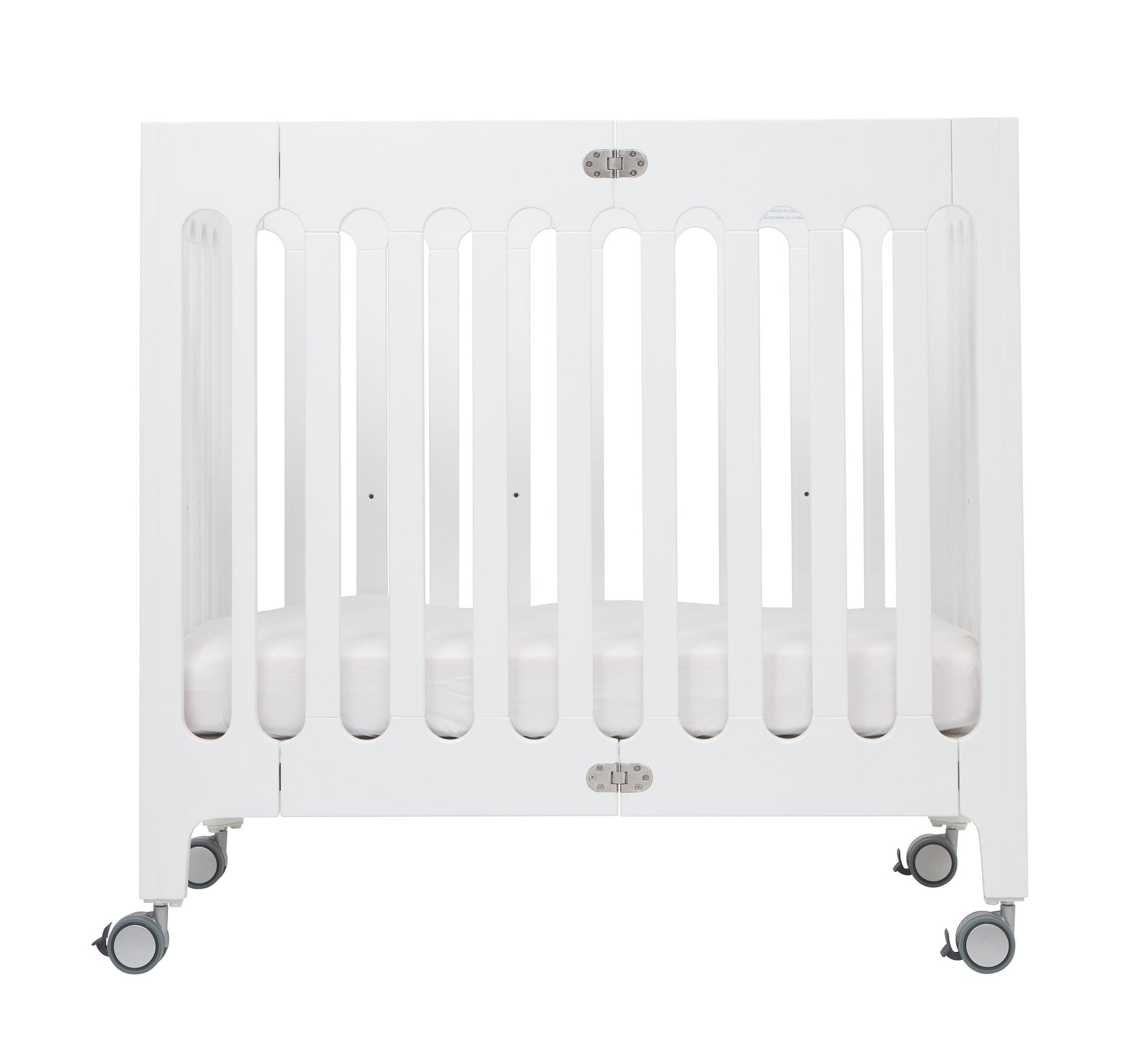 coconut white organic